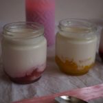 Yaourts vanille&framboises, vanille&fraises et passion&mangue